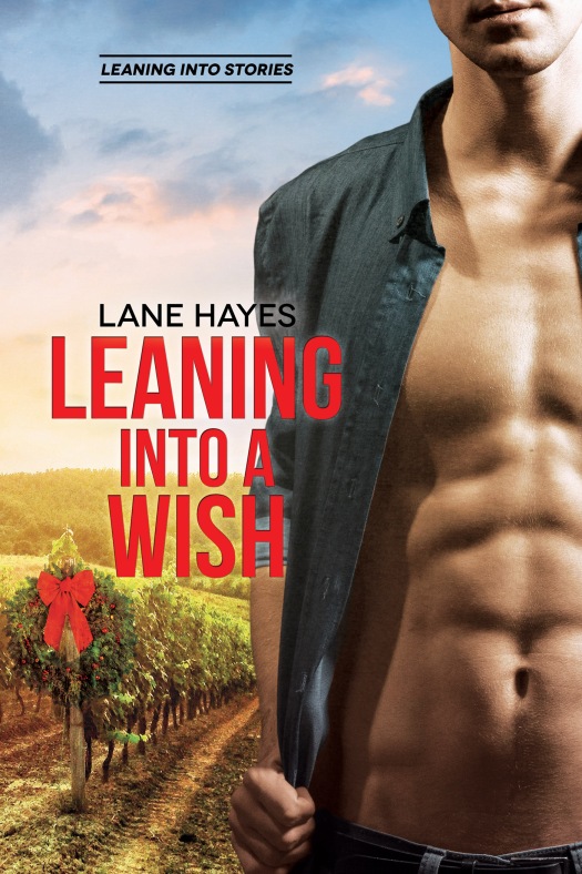 Leaning Into A Wish Cover