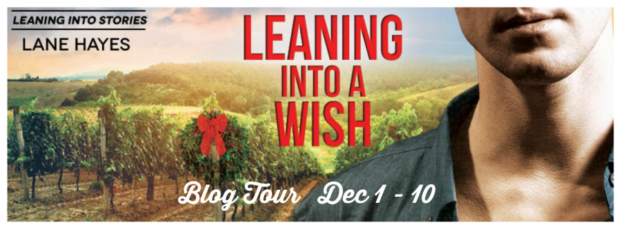 Leaning Into A Wish Tour Banner