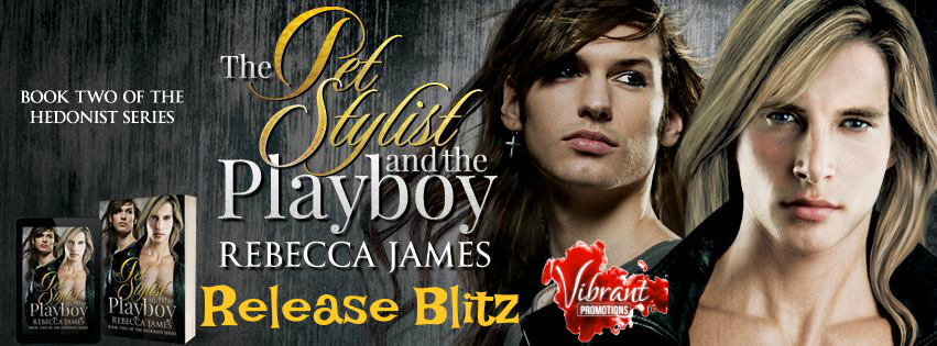 The PetStylist And The Playboy Blitz Banner