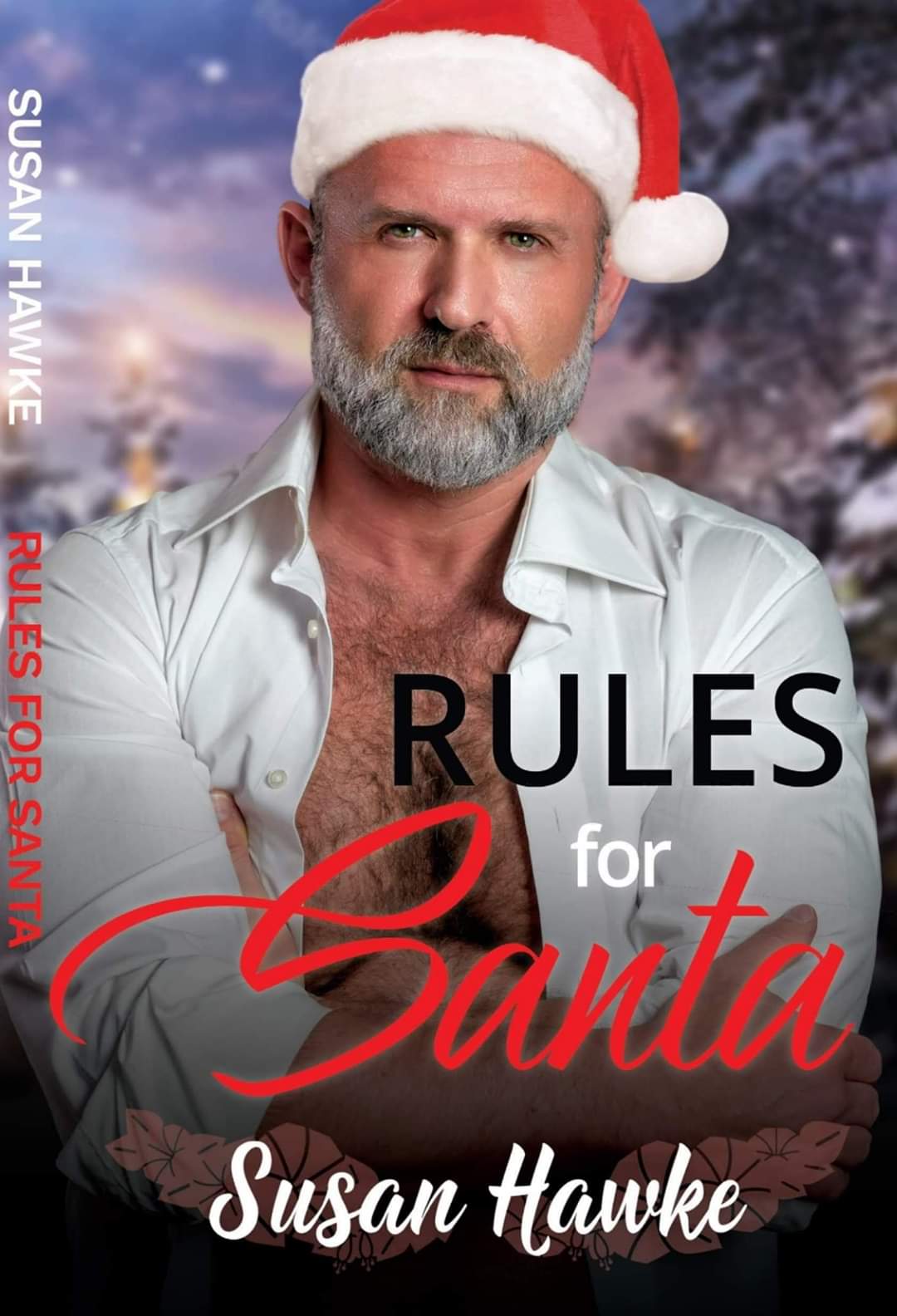 Rules for Santa Cover